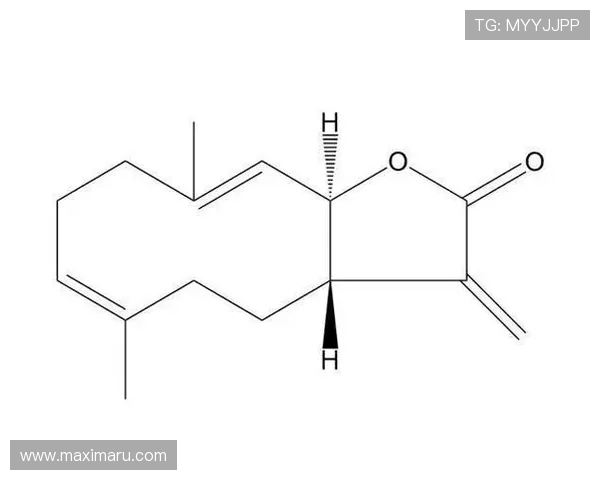 在k8凯发官方网站上如何进行游戏账号的维护与安全管理